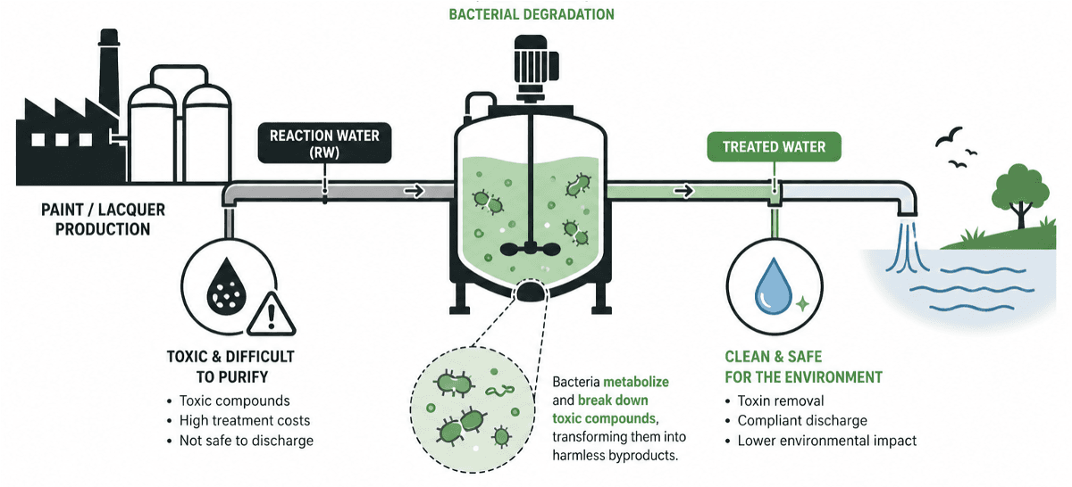 Diagram of adaptive laboratory evolution toward industrial reaction water tolerance using a morbidostat workflow.